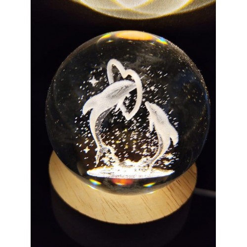 Büyük boy USB’li cam küre