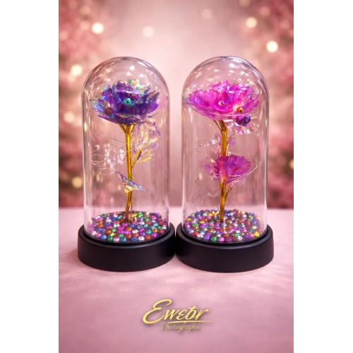 Orta boy cam fanus kristal solmayan gül